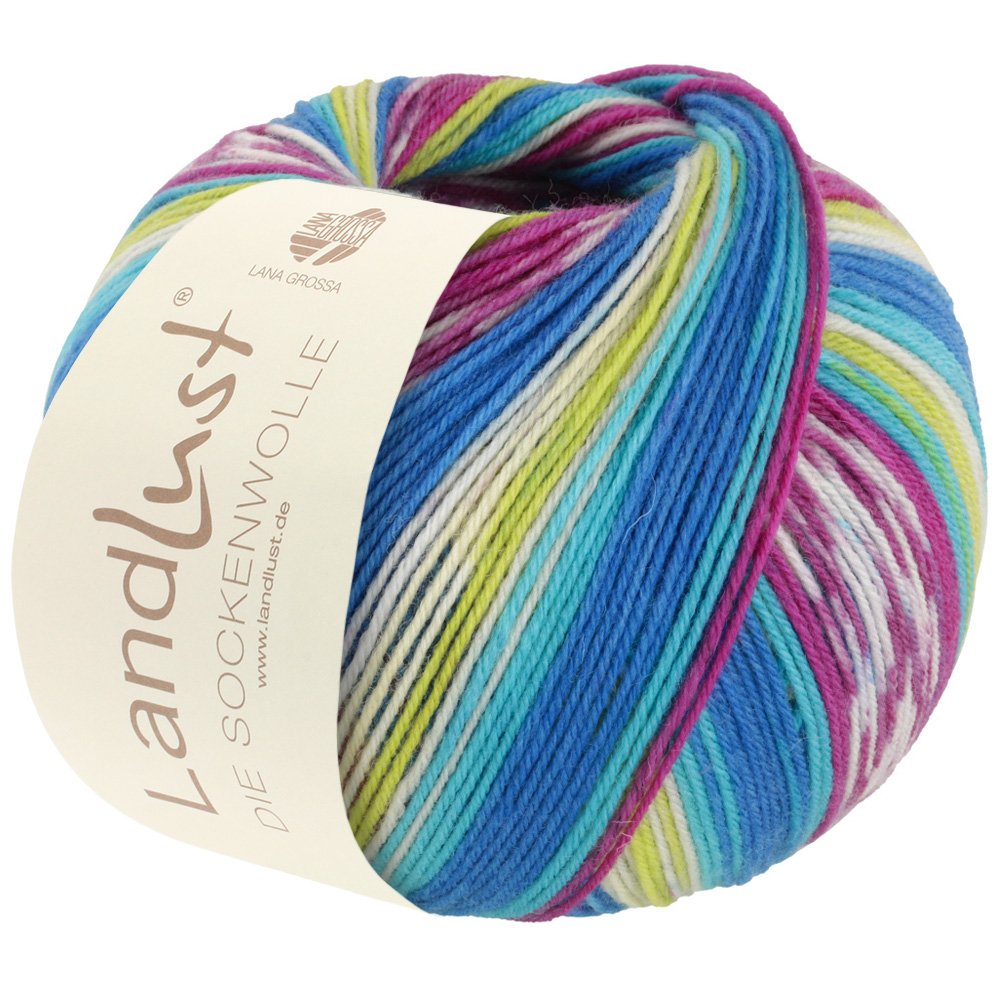 Lana Grossa Landlust Die Sockenwolle 312 Blau/Türkis/Silbergrau/Hellgrün/Fuchsia/
Rohweiß 100g